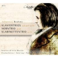 Brahms Trios from Villa Musica