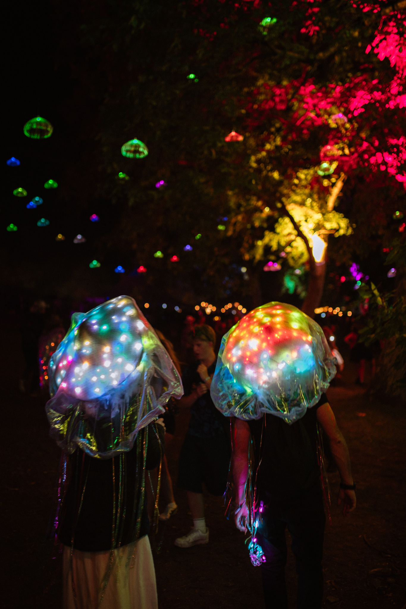 Night time in the Valley Night time in the Valley