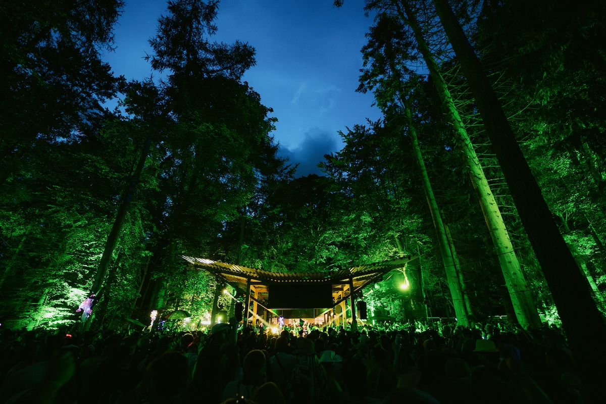 A crowd in woods at twilight, lit by green light