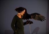 Fiona Shaw with feathered enemy