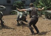 Jumping the shark: Chris Pratt tames velociraptors in 'Jurassic World'