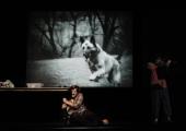 Dog eat dog: 'David Michalek's images dominate the projected backdrop'