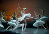 The Mikhailovsky's 'Swan Lake': recreating the famous 1956 Bolshoi production, with their own softer tint