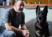 Pet project: Ricky Gervais writes, directs and stars in 'After Life'