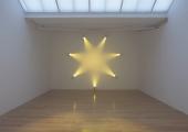 Ann Veronica Janssens Yellow Rose, 2007