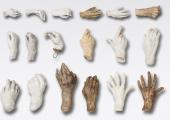 Auguste Rodin, Plaster and terracotta limbs, or 'giblets' as the artist called them, c.1880-1917