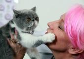 Sing it, kitty: star pet Bronte with owner Caroline