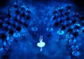 I was there: 60 white-feathered girls in precision-tooled lines in Derek Deane's arena Swan Lake