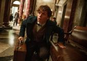 Eddie Redmayne as Newt Scaramander in 'Fantastic Beasts and Where to Find Them'