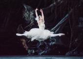 Wild and dangerous: Tierney Heap as Myrthe, Queen of the Wilis in the Royal Ballet's 'Giselle'
