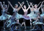 The most succulent tutus: Lilac Fairy Elena Glurdjidze and her attendants in ENB's Sleeping Beauty