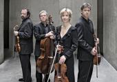 The Hagen Quartet – 'a deep and intuitive sense of unity'