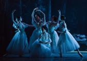 German Romanticism: the spectral Wilis in the Berlin Staatsballett's splendid production of 'Giselle'