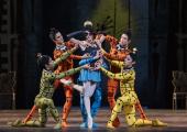 Knaves of hearts: Isabella Gasparini and her consorts in a rare revival of 'Danses Concertantes', the first work by a young Kenneth MacMillan for what was to become the Royal Ballet