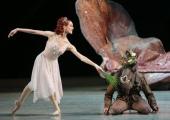 Sophisticated: Lopatkina makes an ass of herself as Titania