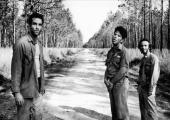 On the road again: John Lurie, Tom Waits and Roberto Benigni in 'Down by Law'