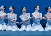 Rich romanticism: Mariko Sasaki, Sae Maeda, Mayara Magri, Ashley Dean and Leticia Dias in 'Serenade'