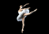 Swan Queen: Nina Ananiashvili as Odette in American Ballet Theatre's Swan Lake