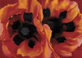 'Oriental Poppies', 1927, by Georgia O'Keeffe