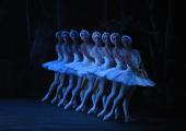 Well lit by moonlight: the corps of swan maidens in English National Ballet's Swan Lake, choreographed by Derek Deane