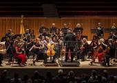 A volume from the library of cellists' faces: Sheku Kanneh-Mason at the Fairfield Halls in Croydon