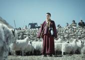 Belly of the beast: the Snow Leopard Monk (Tseten Tashi) confronts the killer
