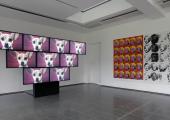 'Elastic Tango 2010' and 'Warhol Diptych 2004' by Sturtevant