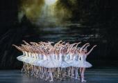 Moonlight sonata: The corps of swans in the Royal Ballet's 2018 production of Swan Lake, now on its second revival