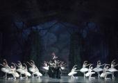 Splendid tragedy: there's no bastardised happy ending in Peter Wright's excellent 'Swan Lake' for Birmingham Royal Ballet
