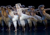 Richard Winsor leads the male swans of Bourne's Swan Lake, filmed spectacularly in 3D