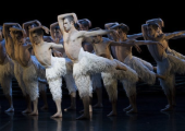 Feral dimensions: Richard Winsor leads the corps of male swans