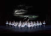 A force to be reckoned with: the corps de ballet in the Royal Ballet's latest production of 'Swan Lake'