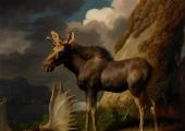 Wistful: George Stubbs' The Moose, 1770