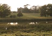 Isabella Tree searches for harvest mice overlooking Knepp Castle