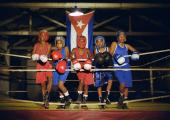 Raging bullocks: Cuba's young boxing champions-in-waiting
