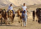 Richard E Grant travels the ancient trade route that brought 'The Arabian Nights' to Europe Richard E Grant travels the ancient trade route that brought 'The Arabian Nights' to Europe