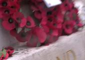 Cadet: Running at Preston (DVD installation): 'the artist runs in circles, filming the poppies, the grey uniforms, and gold lettering on the plinth' 