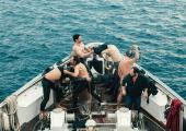 Male bonding: the cast of Athina Rachel Tsangari's 'Chevalier'