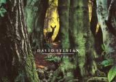 A sly, camp joke on its elusive creator? David Sylvian's 'Manafon'