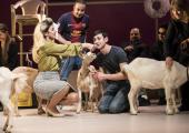 Animal capers: the human and goat cast of 'Goats'