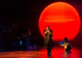Kate Bush 2014: time to get that light from under the bushel