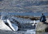 Andrei Zvyagintsev's 'Leviathan' places high on our list