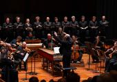 Spring awakening: Peter Whelan and the OAE