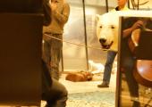 Reflection of a cellist playing in Svendsen's Octet at the Svalbard Museum while a stuffed polar bear looks on