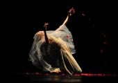 Three in the marriage: Bertha Mason (Fan Xiaofeng) in Shanghai Ballet's Jane Eyre