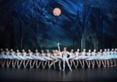 Moonlighting: St Petersburg Ballet Theare giving a competent, but not a great, account of Lev Ivanov's lakeside choreography