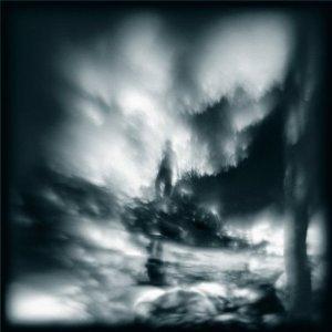 Guillemots: An emotional journey