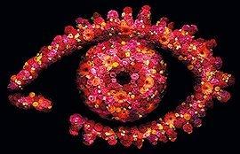 The eye had it, and will be sadly missed by our unapologetic critic