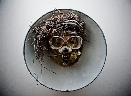 Keep Away from Idiots: DIY taxidermy from Charlie Tuesday Gates