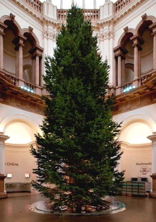 Giorgio Sadotti 'celebrates the power of nothing' with his unadorned Norwegian Spruce